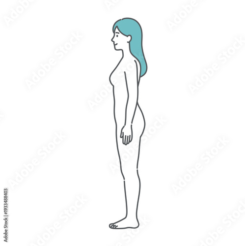 女性の人体図・全身モデルのイラスト（側面・横向き）