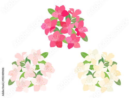3色のツツジの花をイメージしたイラストのセット