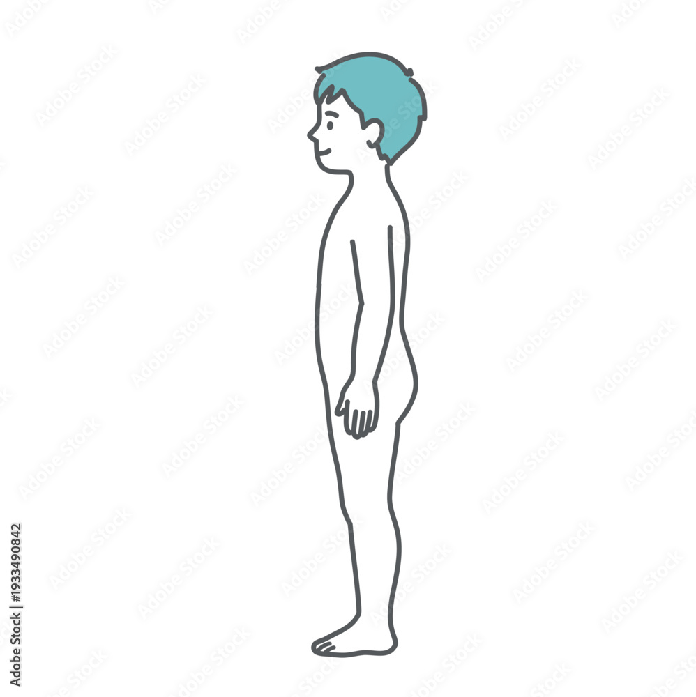 Fototapeta premium 男の子（子供）の人体図・全身モデルのイラスト（側面・横向き）