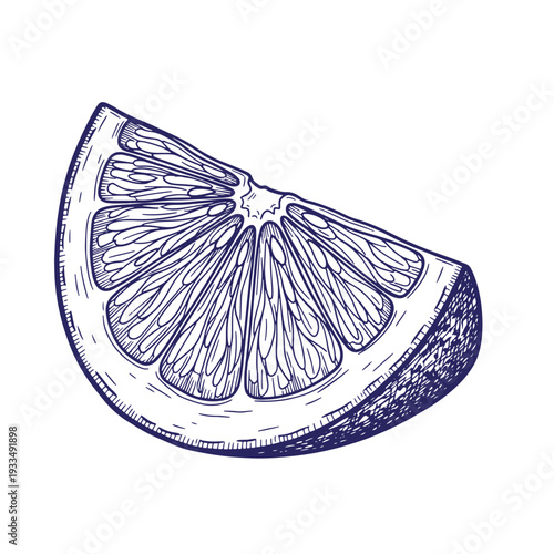 Blue of a slice of citrus fruit wedge