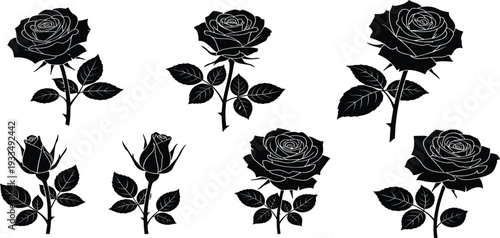 Black Rose Silhouette Set with Detailed Floral Botanical Elements for Gothic Design Tattoo Art Romantic Decorations and Elegant Vector Illustration Collection