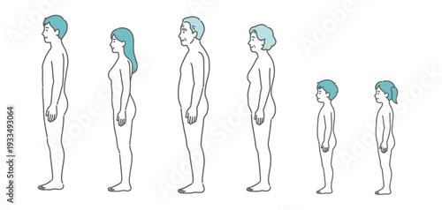 全世代の人体図・全身モデルのイラストセット（側面・横向き）