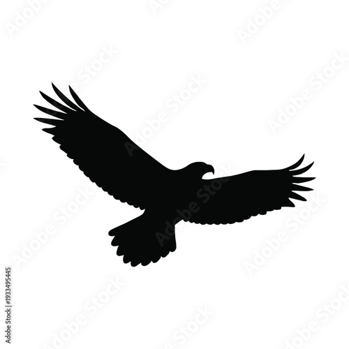 eagle in the sky silhouette black