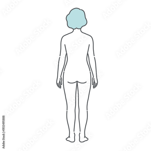 シニア女性（高齢者）の人体図・全身モデルのイラスト（背面・後ろ姿）
