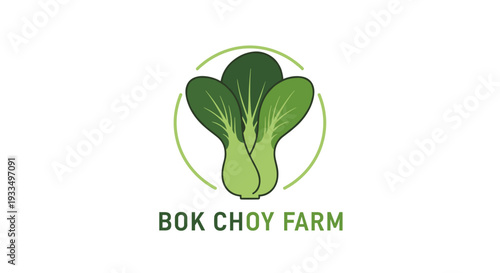 Bok Choy Farm Logo Design Illustration.