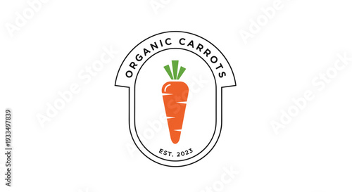 Organic Carrot Logo Design Illustration.
