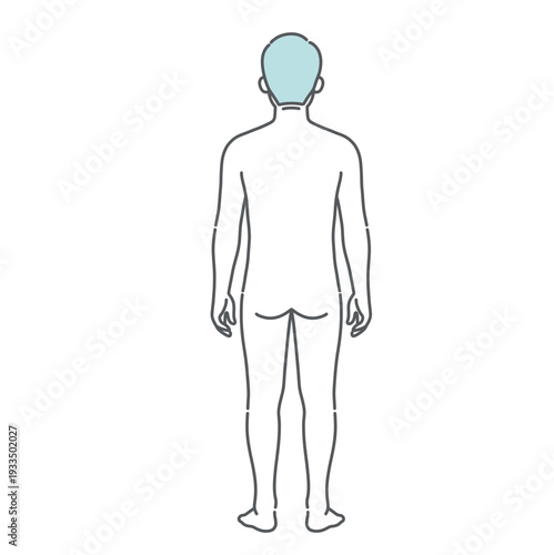 シニア男性（高齢者）の人体図・全身モデルのイラスト（背面・後ろ姿）