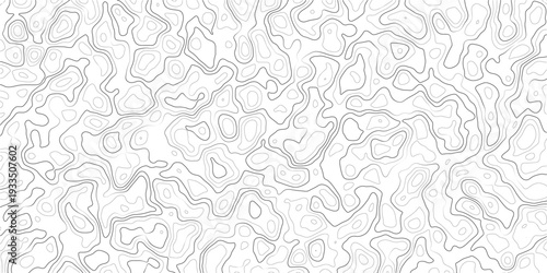 Abstract topographic map pattern with wavy lines and contours on white background_1