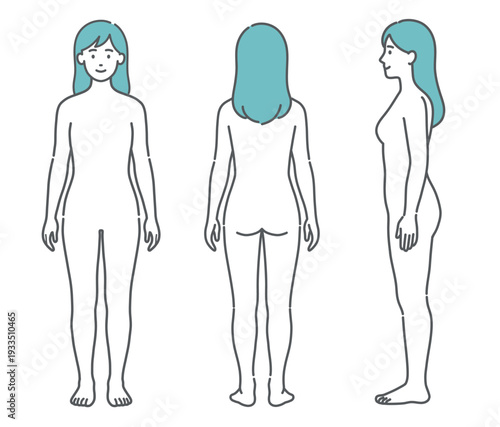 女性の人体図・全身モデルのイラストセット（正面・背面・側面）