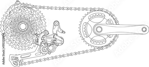 Detailed technical vector schematic of a bicycle drivetrain featuring rear cassette derailleur chain and front crankset assembly