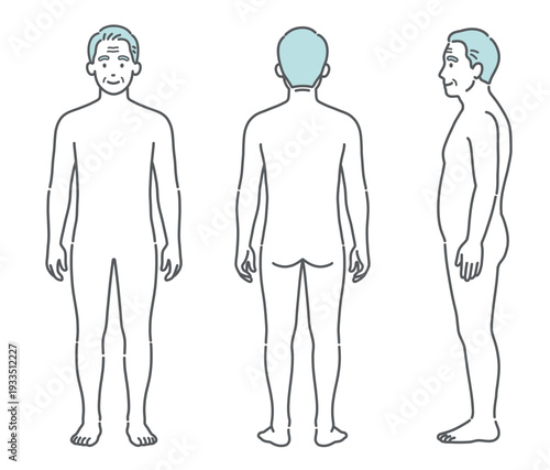 シニア男性（高齢者）の人体図・全身モデルのイラストセット（正面・背面・側面）