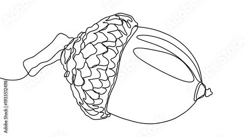 Continuous one line drawing of acorn fruit from oak tree seeds for forest nature.
