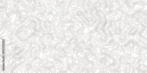 Gray abstract topographic contour lines on white background pattern design
