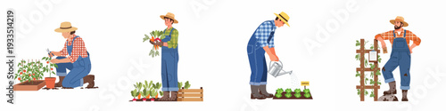 Collection of Gardening Scenes: Male Farmers Pruning Tomatoes, Harvesting Fresh Vegetables, Watering Lettuce, and Tending to Crops.