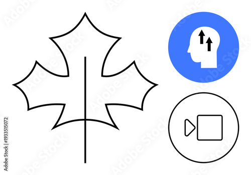Maple leaf concept. Maple leaf design combined with growth and video play button. Maple leaf connecting nature, growth, and digital communication. For education, tech, marketing, branding