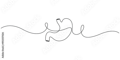 Continuous single-line drawing of an anatomical human stomach isolate vector illustration
