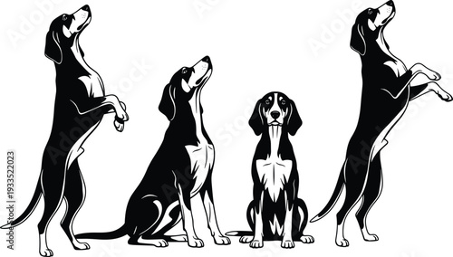 Dog training pose silhouettes showing hound sitting standing and jumping isolated on white background, black vector illustration of canine behavior and obedience