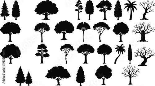 Collection of diverse tree silhouettes featuring pine, palm, and deciduous species, flat vector icons for landscape design, nature environment, and forestry