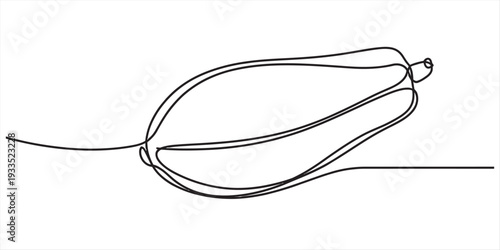 A minimalist continuous line drawing of a single fresh papaya fruit on a white background. Vector, illustration