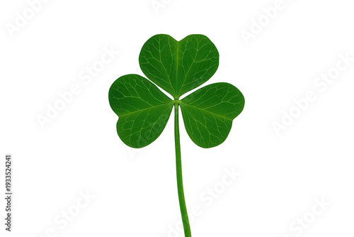 Shamrock clover leaf with three green leaves, representing ireland, luck, nature, and st. Patrick's day, transparent background