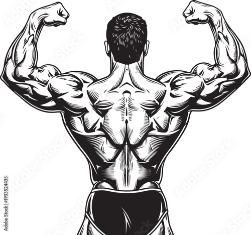 Bodybuilder posing with strong back and bicep muscles. detailed black and white illustration of muscular male physique