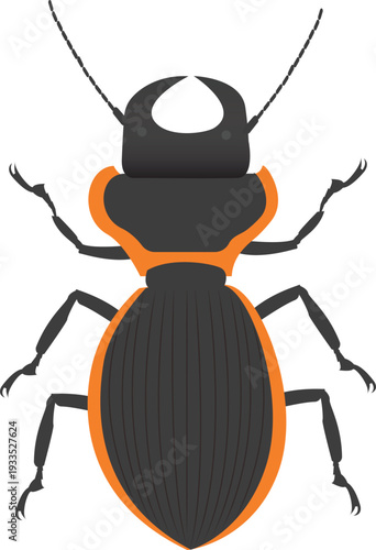 Realistic tropical beetle vector artwork ideal for entomology design, wildlife branding, and commercial print projects.