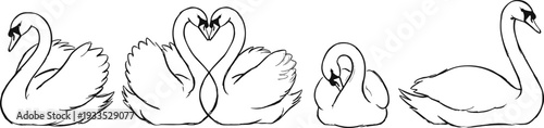 Hand-drawn black vector swan illustration set featuring a romantic swan pair forming a heart shape and individual poses