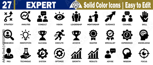 Expert solid color icons. Including business strategy analysis, consulting, vision leadership mentorship, guidance, counsel, and skill vector illustration.