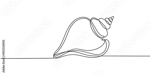 Single line art illustration of a spiral sea shell for minimalist interior design. Vector, illustration