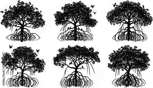 Set of black mangrove tree silhouettes with complex root systems and birds perched in branches isolated on a white background