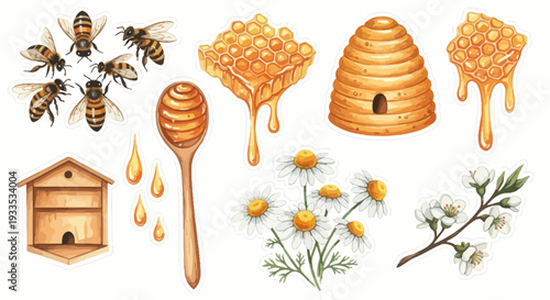 Watercolor bee hive illustration featuring bees honey and flowers vector design