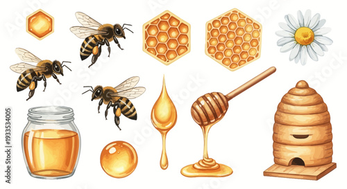 Watercolor bee hive illustration featuring bees honey and honeycomb elements