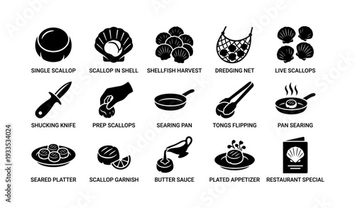 Scallop preparation: tools and stages of cooking with black icons