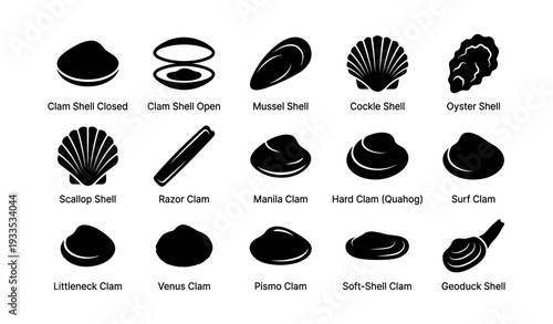 Collection of various clam and shell types illustrations