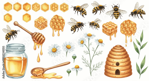 Watercolor bee hive illustrations with honey and wildflowers for design use
