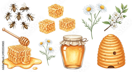 Watercolor bee hive with honeycombs jar of honey and flowers illustration