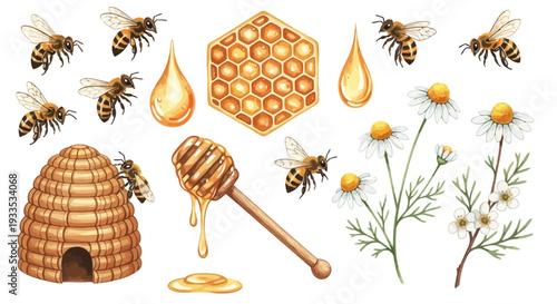 Watercolor bee hive illustration with honey bees dipper and flowers