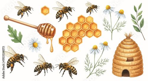 Watercolor bee illustration set with honey dipper and honeycomb elements