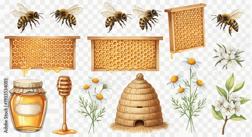 Watercolor bee hive illustration featuring honeycombs bees flowers and honey jar