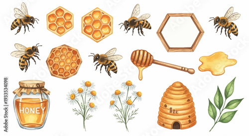 Watercolor bee illustration set with honey and honeycomb elements design
