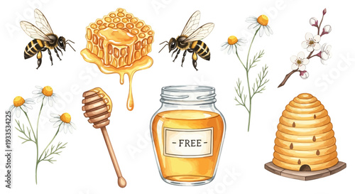 Watercolor bee illustration with honey jar comb and flowers nature design