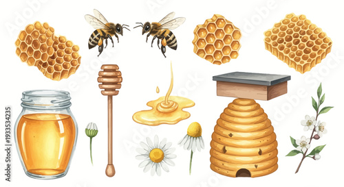 Watercolor bee illustration with honeycomb honey jar and floral elements