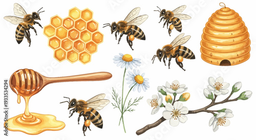 Watercolor bees illustration with honeycomb and flowers isolated on white background