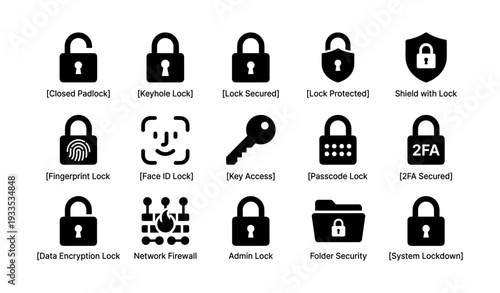 Lock and security icons with padlock, key, shield, and fingerprint symbols