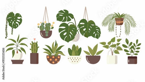 Colorful illustration of various hanging and potted indoor plants