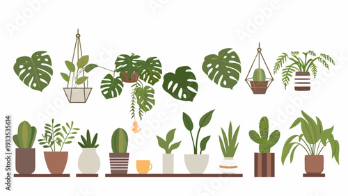 Collection of various potted and hanging houseplants in a minimalist style
