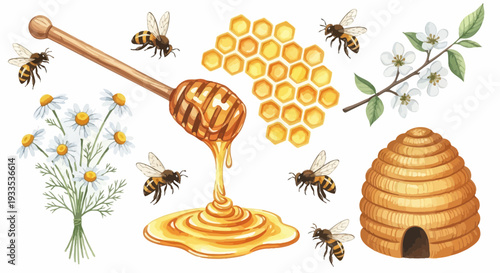 Watercolor illustration of bees honeycomb and flowers elements isolated