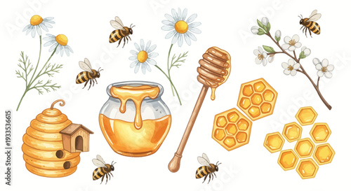 Watercolor illustration of bees honeycomb and flowers on white background
