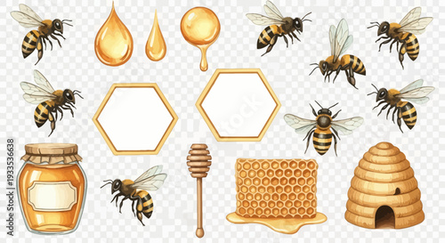 Watercolor illustration of bees honeycomb and honey for decorative design