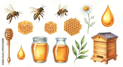 Watercolor illustration of bees honeycomb and honey related elements